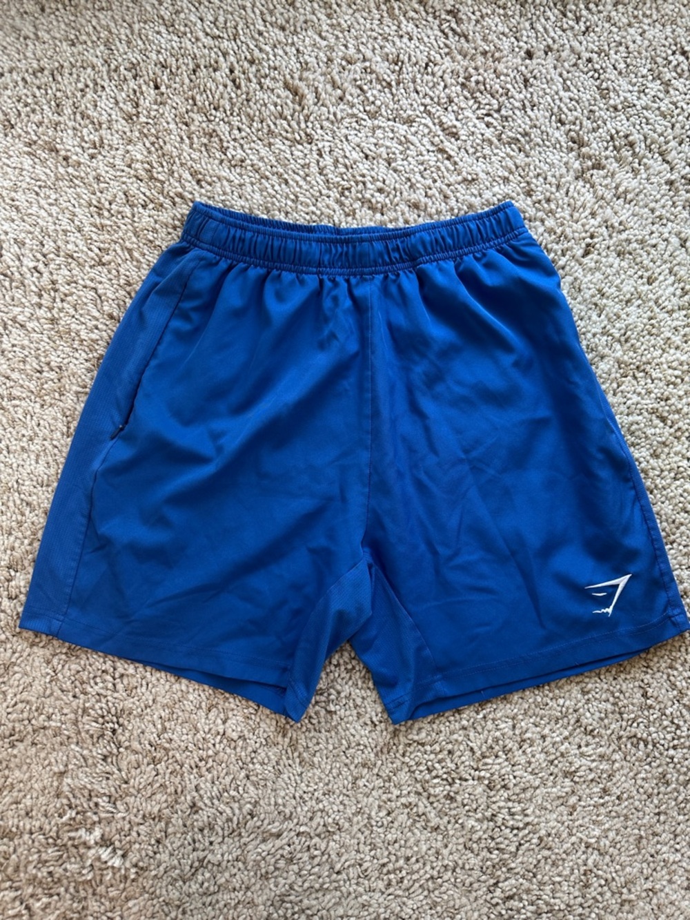 Gym shark Blue Men's Athletic Shorts